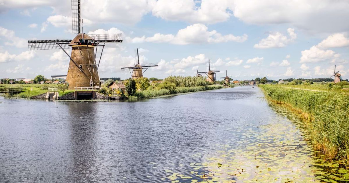 przewozy busami do holandii